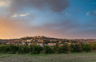 Civitanova Marche & Fontezoppa Vineyards