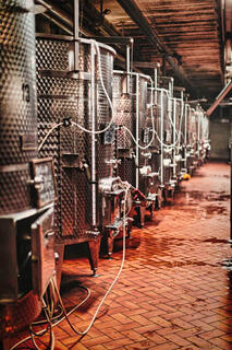 Fontezoppa Wine production 