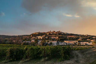 Civitanova Marche with Fontezoppa vineyards 2